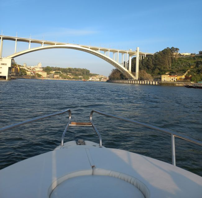 Private Boat Tour in Porto with Portuguese Tapas Option - Ribeira Square and Alfândega from the water