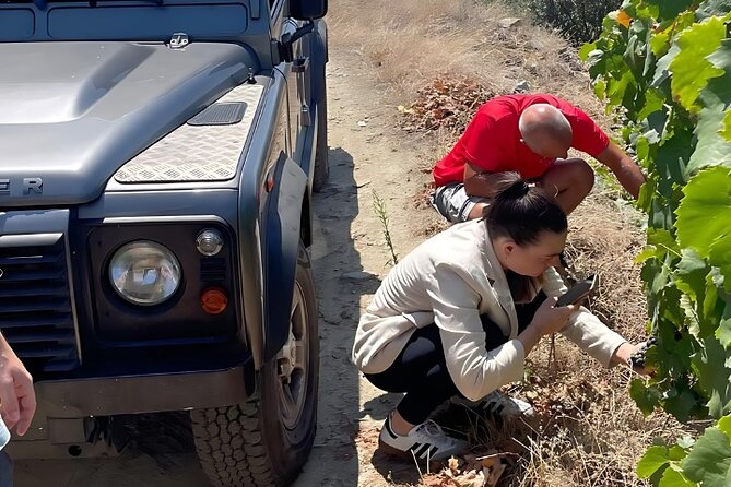 Private Douro 4x4 Adventure from Porto with Deluxe Pic nic - São Leonardo de Galafura and the hilltop picnic