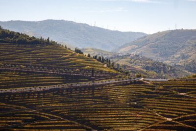 Private Douro 4×4 Adventure from Porto with Deluxe Pic nic