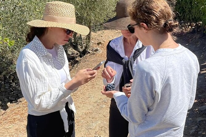 Private Douro 4x4 Adventure from Porto with Deluxe Pic nic - The winery and Port tasting