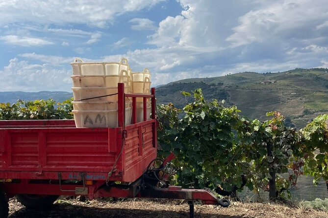 Private Douro 4x4 Adventure from Porto with Deluxe Pic nic - What the private format changes