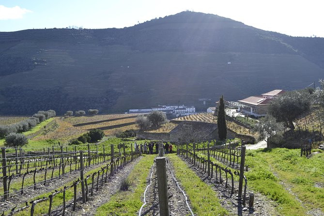 Private Douro 4x4 Adventure from Porto with Deluxe Pic nic - Who should choose this Douro adventure?