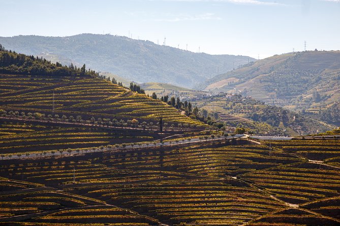 Private Douro 4x4 Adventure from Porto with Deluxe Pic nic - The 4x4 route through the Douro hills