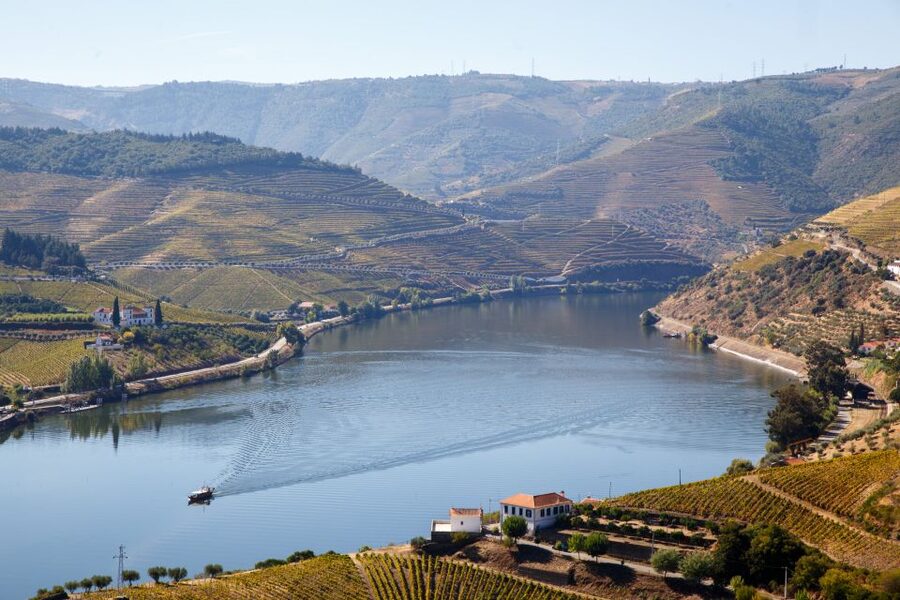 Private Douro Valley 4WD Tour with Wine Tasting and Picnic - Who should book this Douro Valley day?