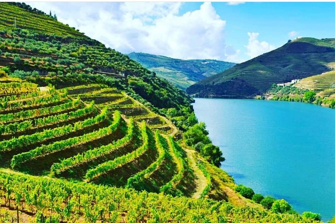Private Douro Valley Food and Wine Tour From Porto - The road to Peso da Régua and the first Douro views
