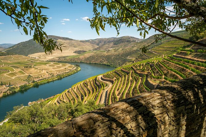 Private Douro Valley Tour: Boutique Winery & River Cruise - Key points to know before booking