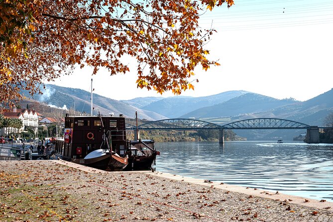 Private Douro Valley Tour: Boutique Winery & River Cruise - Leaving Porto early for the Douro