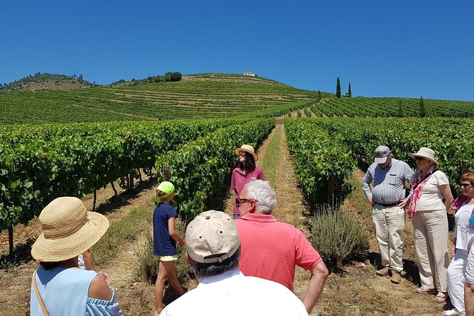 Private Douro Valley Wine Tour: 2 Wine Estates, Lunch and Cruise - Key points to know before booking