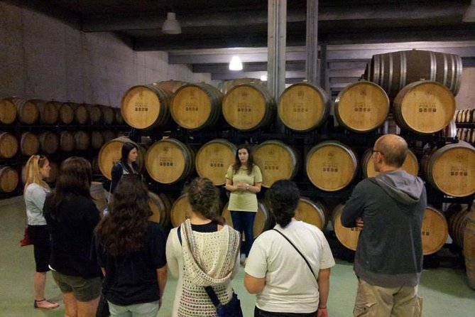 Private Douro Valley Wine Tour: 2 Wine Estates, Lunch and Cruise - Why this Douro day works so well from Porto