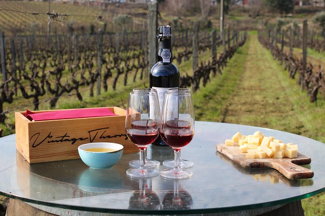 Private Douro Valley Wine Tour: 2 Wine Estates, Lunch and Cruise - The second estate and the final tasting