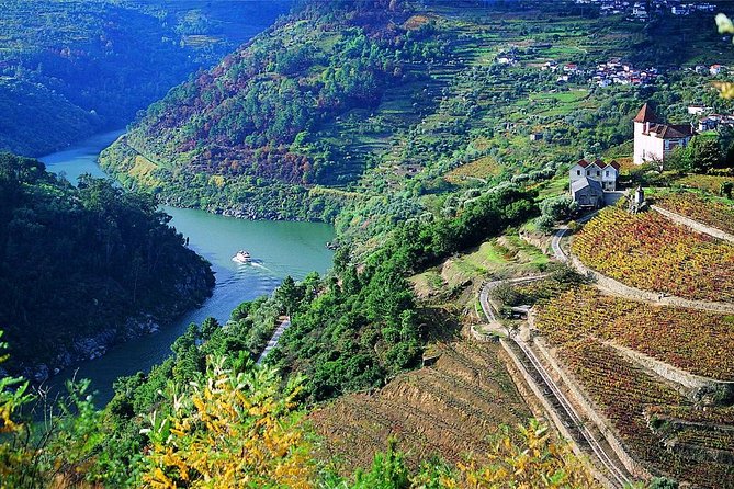 Private Douro Valley Wine Tour: 2 Wine Estates, Lunch and Cruise - Timing, comfort, and practical limits