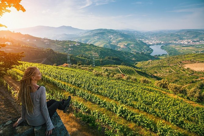 Private Douro Valley Wine Tour: 2 Wine Estates, Lunch and Cruise - Sabrosa and the first estate visit