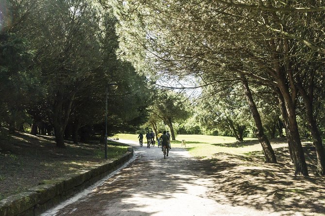 Private e-Bike Tour in Porto – Explore Riverside, Beaches & Parks - What the electric bike really changes