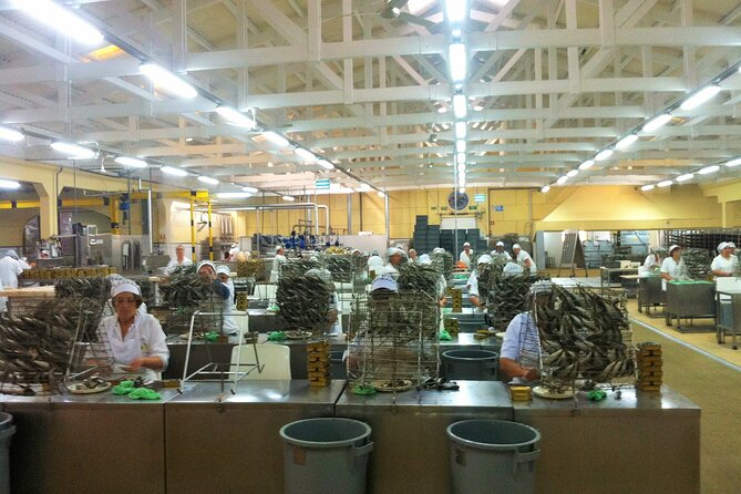 Private Fish Experience with Market-to-table lunch from Porto - Angeiras and the Arrival of the Fishermen