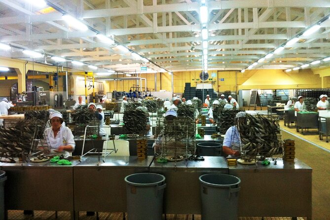 Private Fish Experience with Market-to-table lunch from Porto - Who Will Get the Most from This Experience