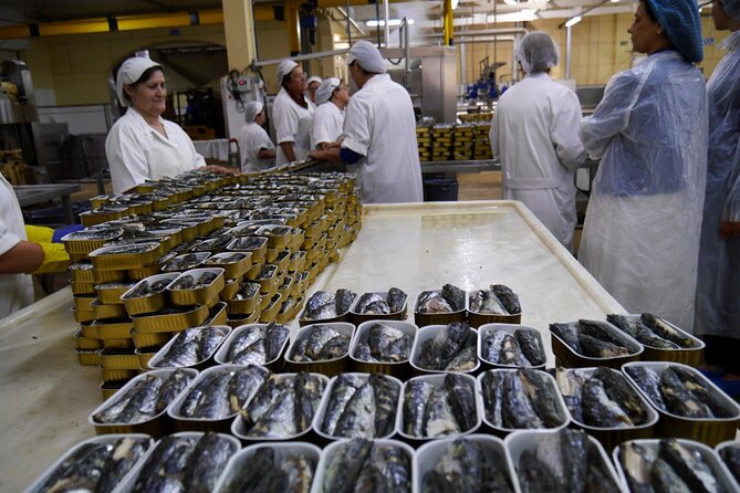 Private Fish Experience with Market-to-table lunch from Porto - Should You Book This Porto Fish Tour?