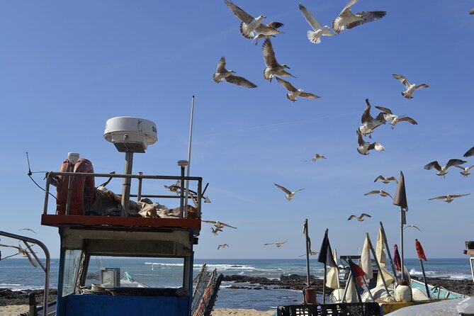 Private Fish Experience with Market-to-table lunch from Porto - Choosing Lunch at Matosinhos Market