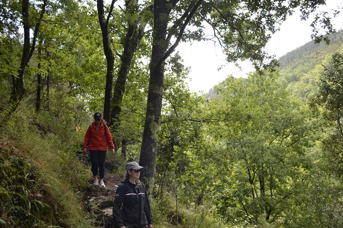 Private Geres National Park Tour with Lunch and Transfers - Lunch with a view or a traditional regional meal