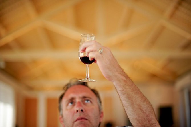 Private off the beaten Douro Valley Wine Tour - The second tasting: Port and a family estate