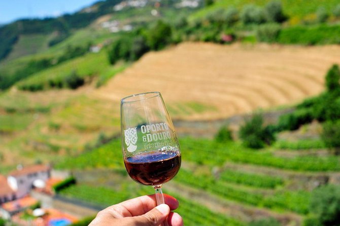 Private off the beaten Douro Valley Wine Tour - What the guides add to the day