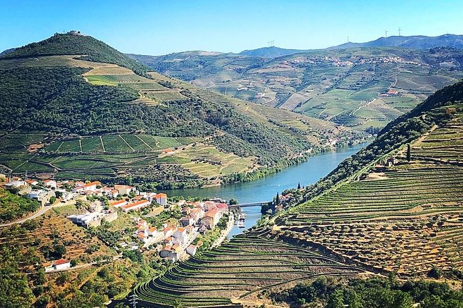 Private off the beaten Douro Valley Wine Tour - A small producer and the first wine tasting