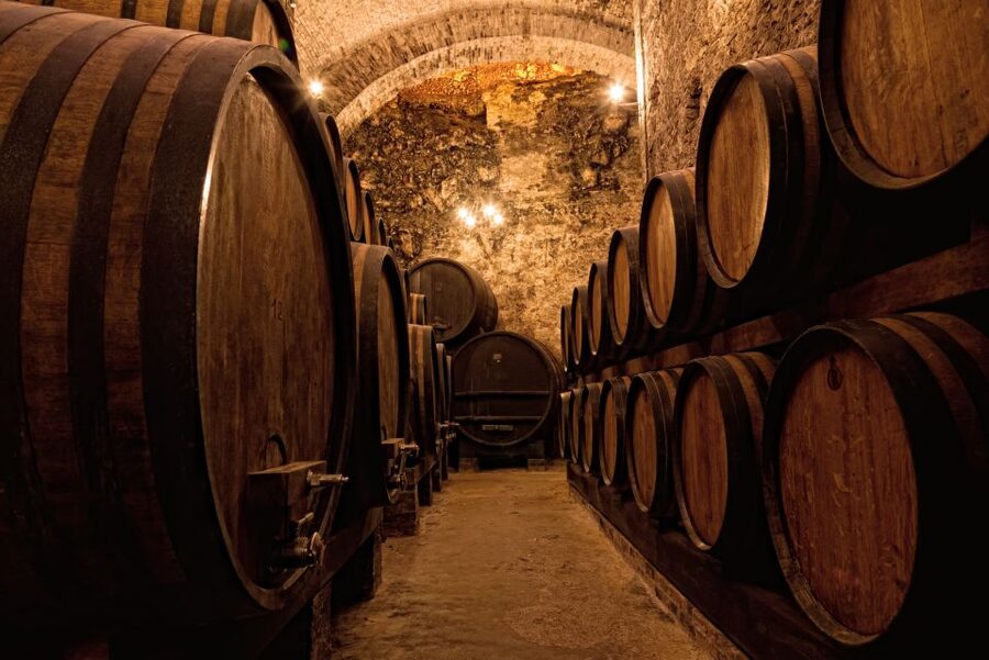 Private Porto Half-Day Tour - Wine Cellars & Cheese Tasting - Portuguese Cheese and a Short Food Lesson