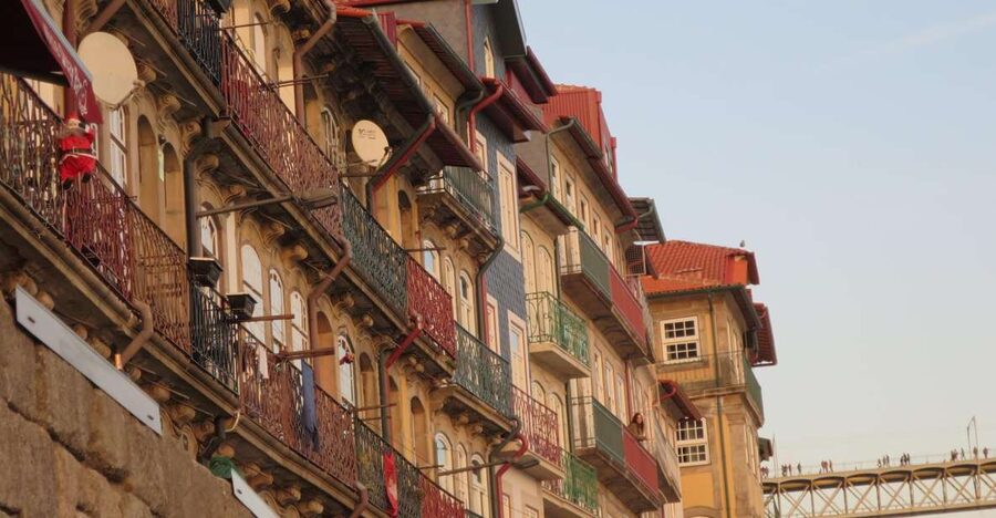 Private Porto Half-Day Tour - Wine Cellars & Cheese Tasting - What the Guide Adds to the Day