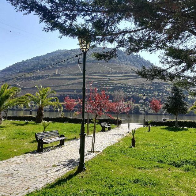 Private Tour: Douro Valley Wine and Food From Porto - What the Private Format Really Gives You