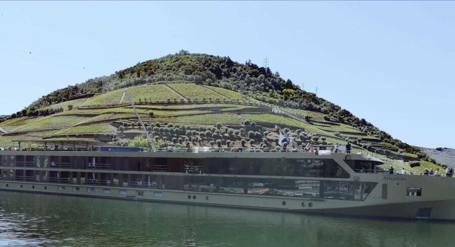 Private Tour: Douro Valley Wine and Food From Porto - Is the $212 Price Good Value?