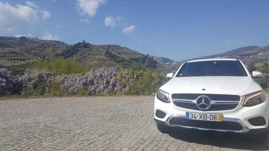 Private Tour: Douro Valley Wine and Food From Porto - Who Will Enjoy This Day Most?