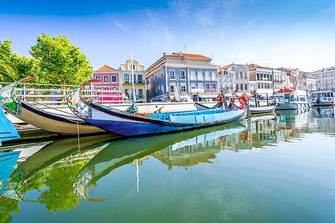 Private Tour to Coimbra, Aveiro and Costa Nova - Why the private vehicle changes the day