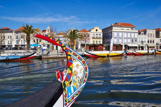 Private Tour to Coimbra, Aveiro and Costa Nova - What your guide adds to the experience