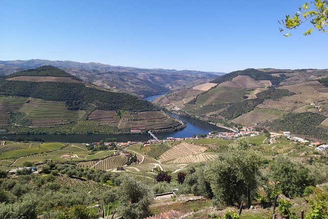 Private Tour to stunning Douro Valley and most renowned wineries - Key points to know before booking