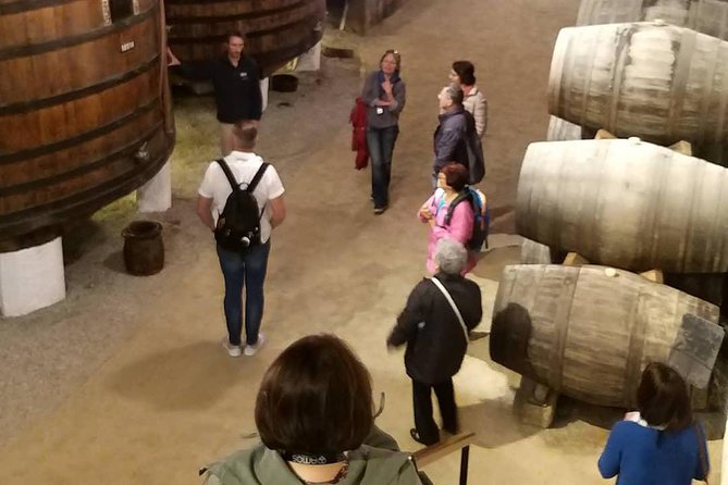 Private Tour to stunning Douro Valley and most renowned wineries - Provesende: a quiet first look at the wine country