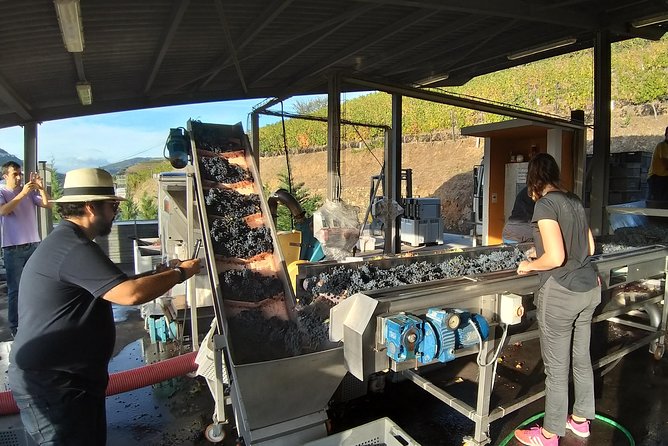 Private Tour to stunning Douro Valley and most renowned wineries - Pinhão: the valley’s main stop