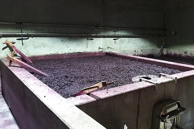 Private Tour to stunning Douro Valley and most renowned wineries - Choosing your winery visits and lunch