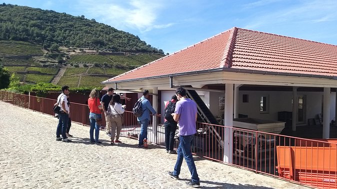 Private Tour to the rock art of Côa Park, Pinhão and Winery - Why the Côa Valley is worth the long ride