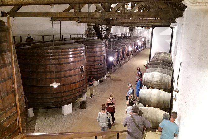 Private Tour to the rock art of Côa Park, Pinhão and Winery - Pinhão and the Douro’s tile-covered railway station