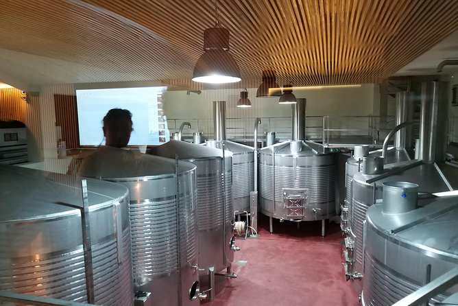Private Tour to the rock art of Côa Park, Pinhão and Winery - Provesende and the final hilltop views