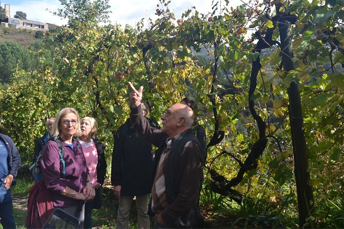 Private Vinho Verde Region Wine Tour from Porto Including Lunch - Key points to know before booking