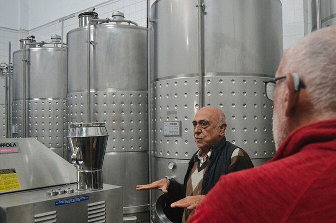 Private Vinho Verde Region Wine Tour from Porto Including Lunch - What the private format changes