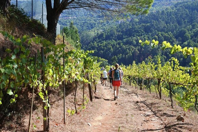 Private Vinho Verde Region Wine Tour from Porto Including Lunch - Is $426.46 per person good value?
