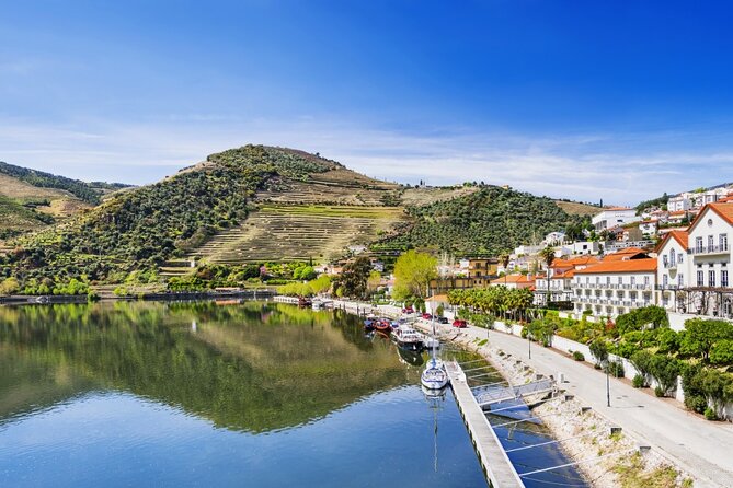 Private Wine & Food Tour in Douro - A 9:00 a.m. start from Porto