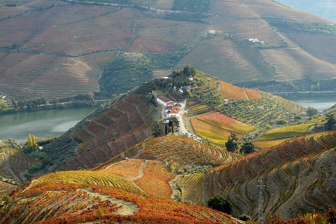 Private Wine & Food Tour in Douro - Quinta do Crasto for views, vineyards, and tasting