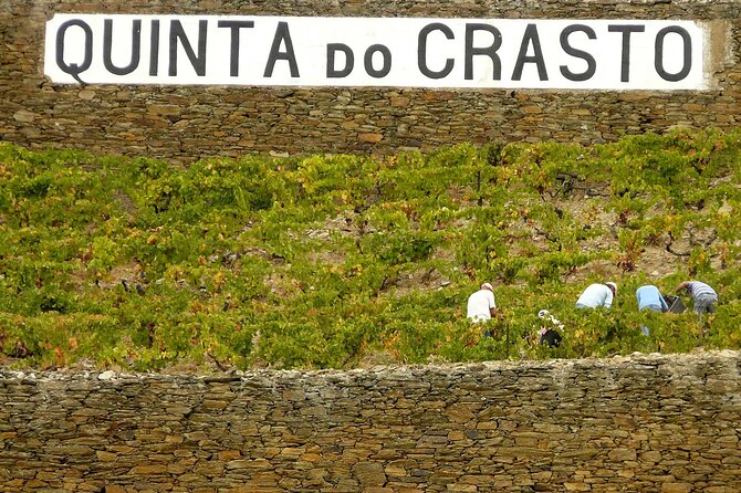Private Wine & Food Tour in Douro - Dinner at Quinta Nova de Nossa Senhora do Carmo