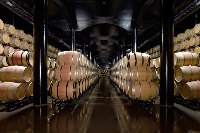 Private Wine & Food Tour in Douro - Who will enjoy this experience most
