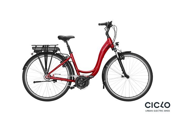 Rent an Electric Bike with Bosch motor - What comes with the Riese & Müller bike