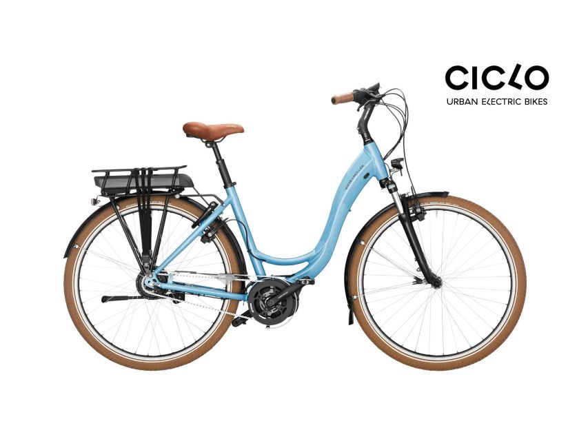 Rent an Electric Bike with Bosch motor - How much value do you get for $41?