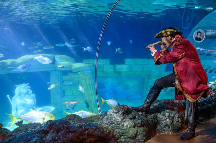 SEA LIFE Porto Full-Day Entrance Ticket - What your day at SEA LIFE Porto looks like