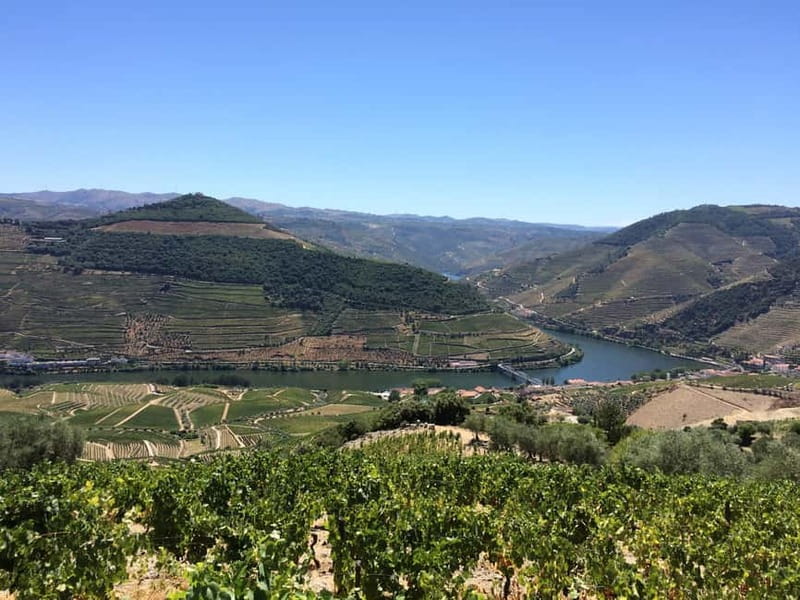 Small Group: Douro Valley Wine Tasting from Porto - The Long Return to Porto